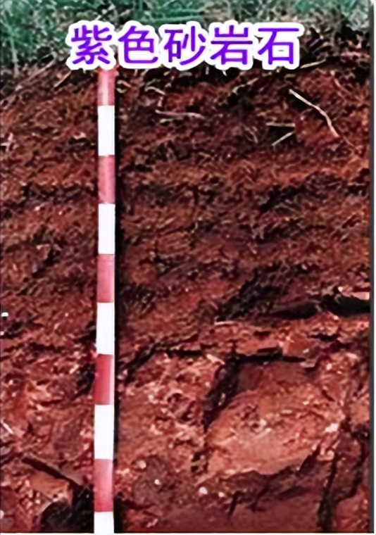赖茅97香港回归特制酒为什么便宜,97年香港回归赖茅2斤装纪念酒