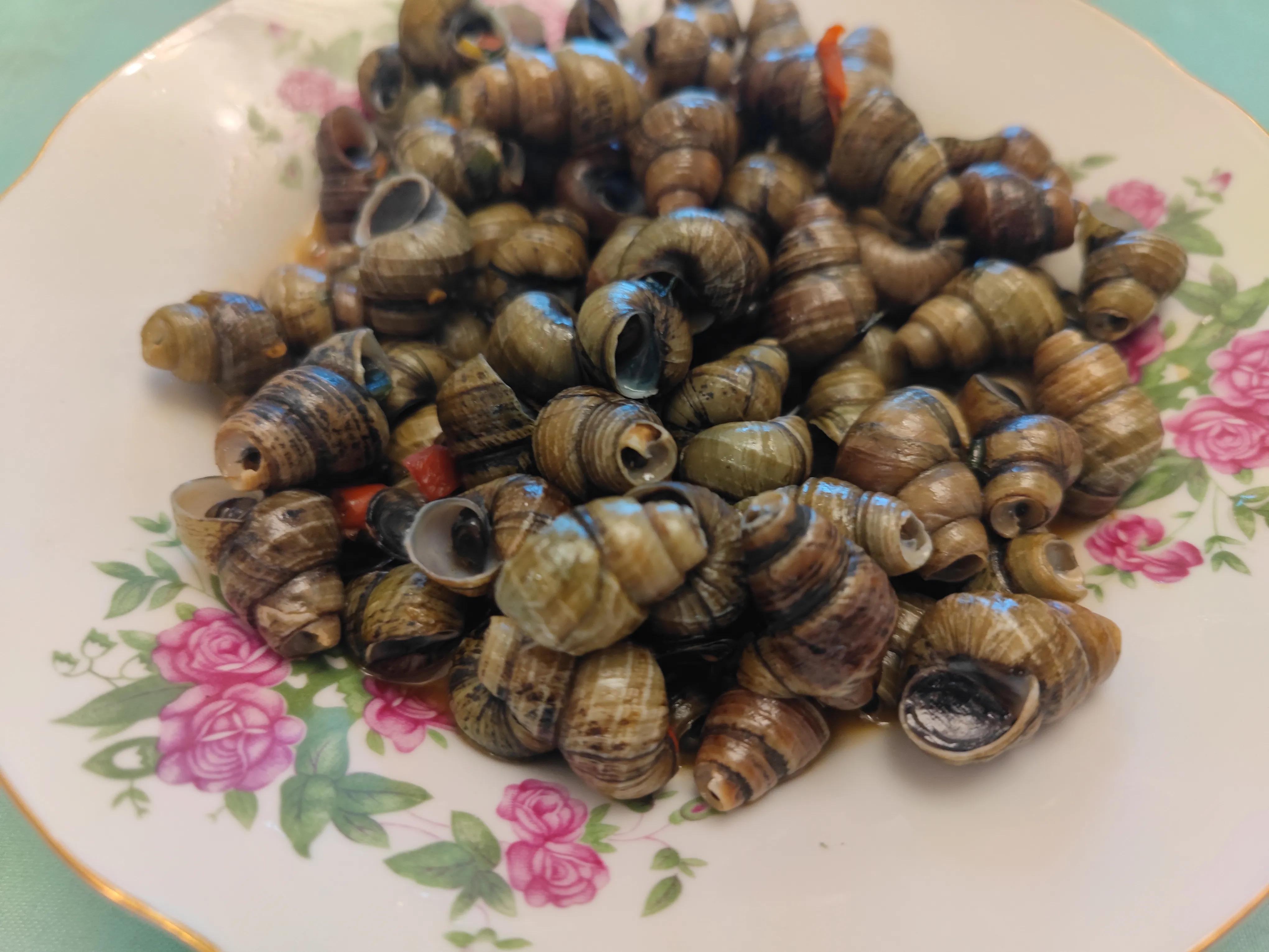 三角牌电饭煲怎么煮饭,正宗三角牌电饭煲标志