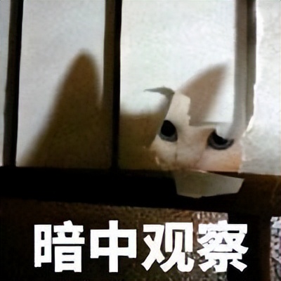 日本艺考需要考什么,日本美术专业留学报名条件