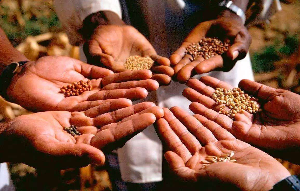 2023年美国对华出口额,美国对华出口贸易都有什么