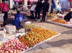 包头首富金利斌年轻图片,包头金利斌头条