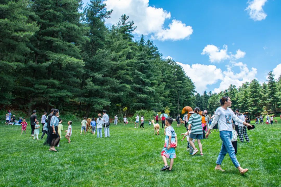 昆明国庆周边游露营,昆明春游露营的地方