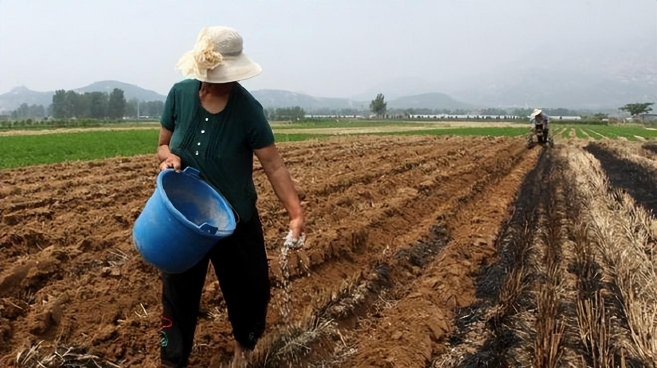 蚁力神骗局结案了吗,蚁力神被骗属于啥性质