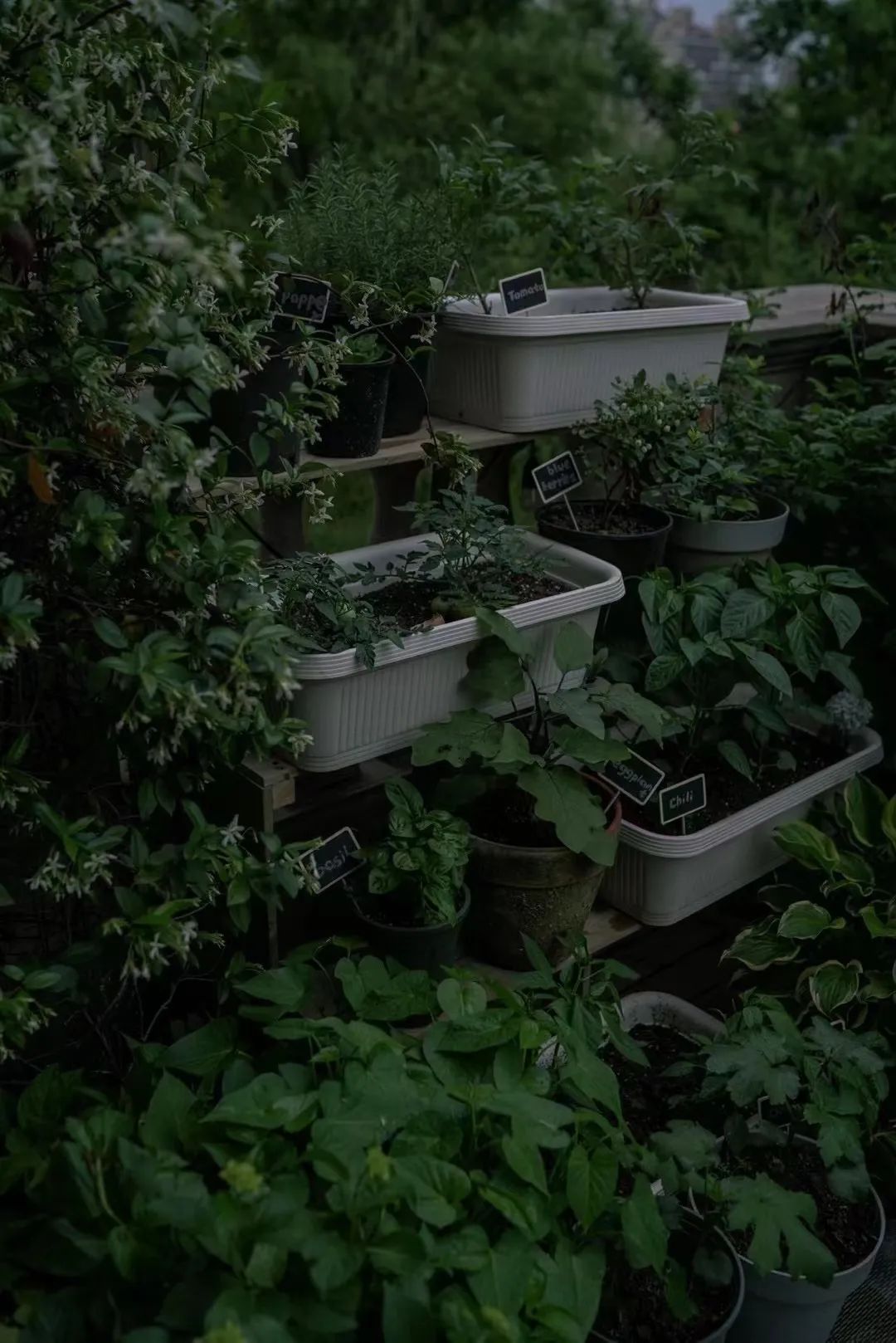 探访100个年轻人的家,居家办公如何克服父母的干扰