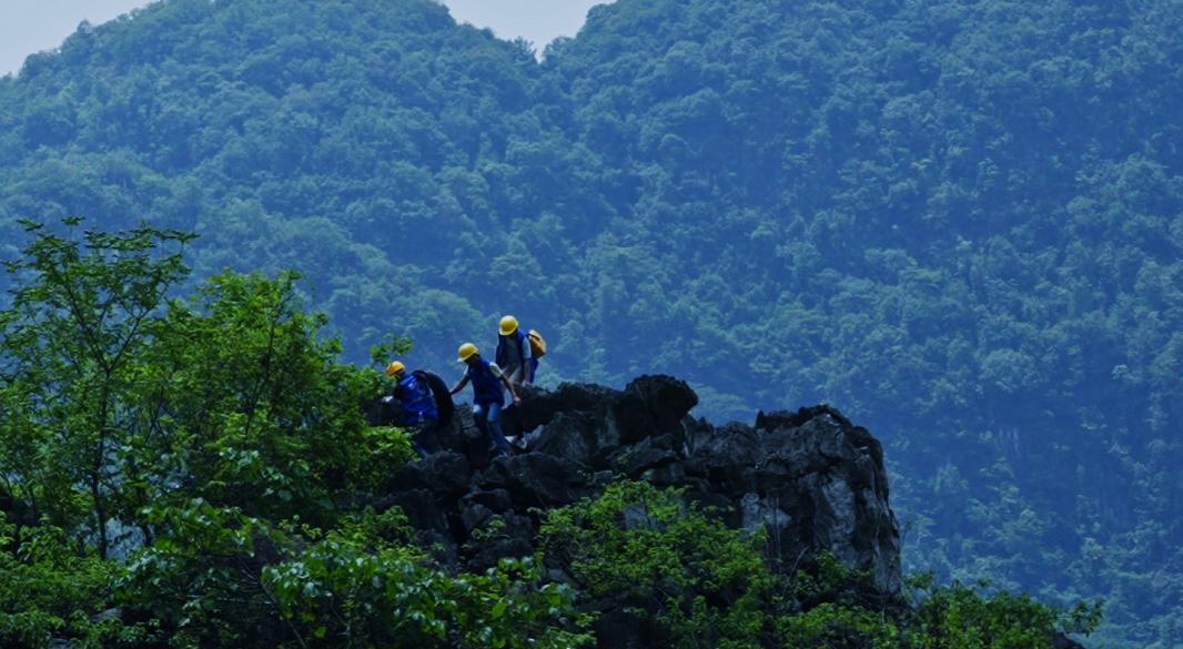 悬念揭晓在即,悬念揭晓视频