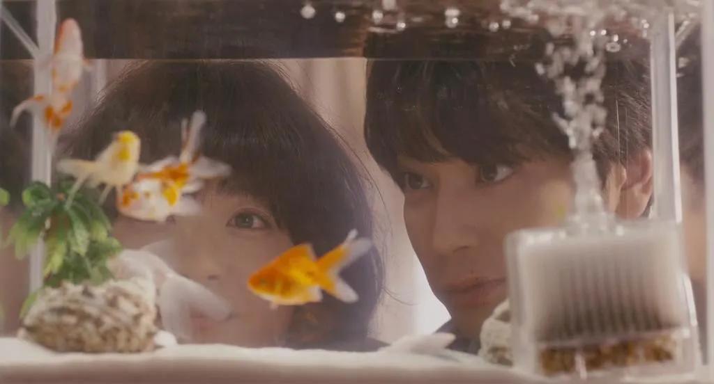 选择继续磨合还是分手,考虑到不合适要不要分手