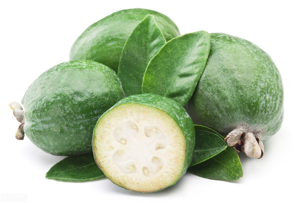 船到丹麦船员体会当地人的生活,去塞拉利昂