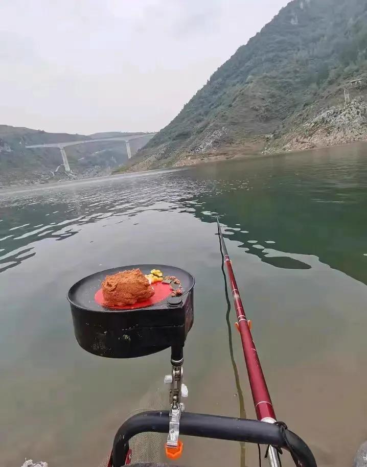 关于白条闹窝的最终绝招,白条闹窝严重这4个方法你用过没