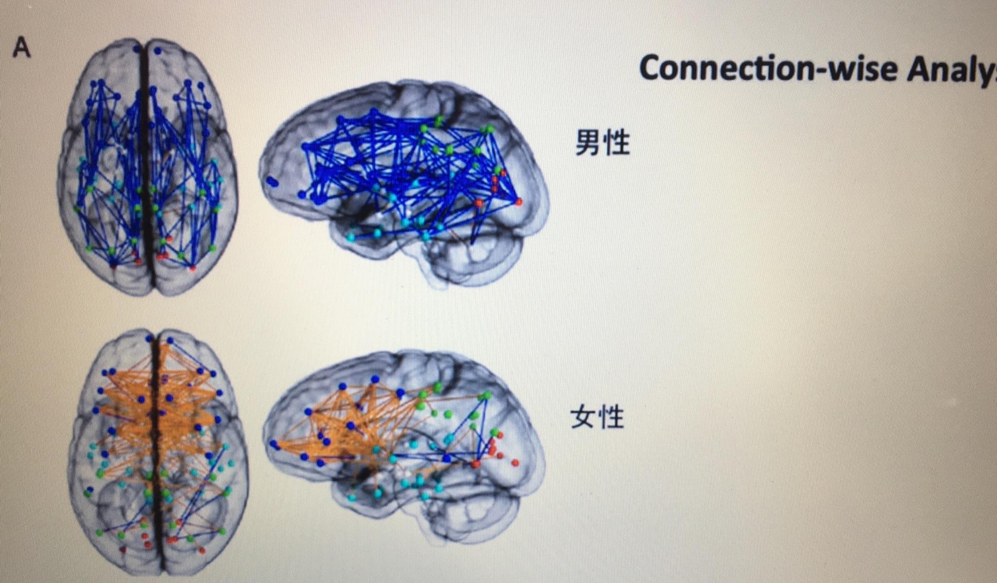 男人为何“好色”？已有科学依据，原来男人拥有两颗“大脑”