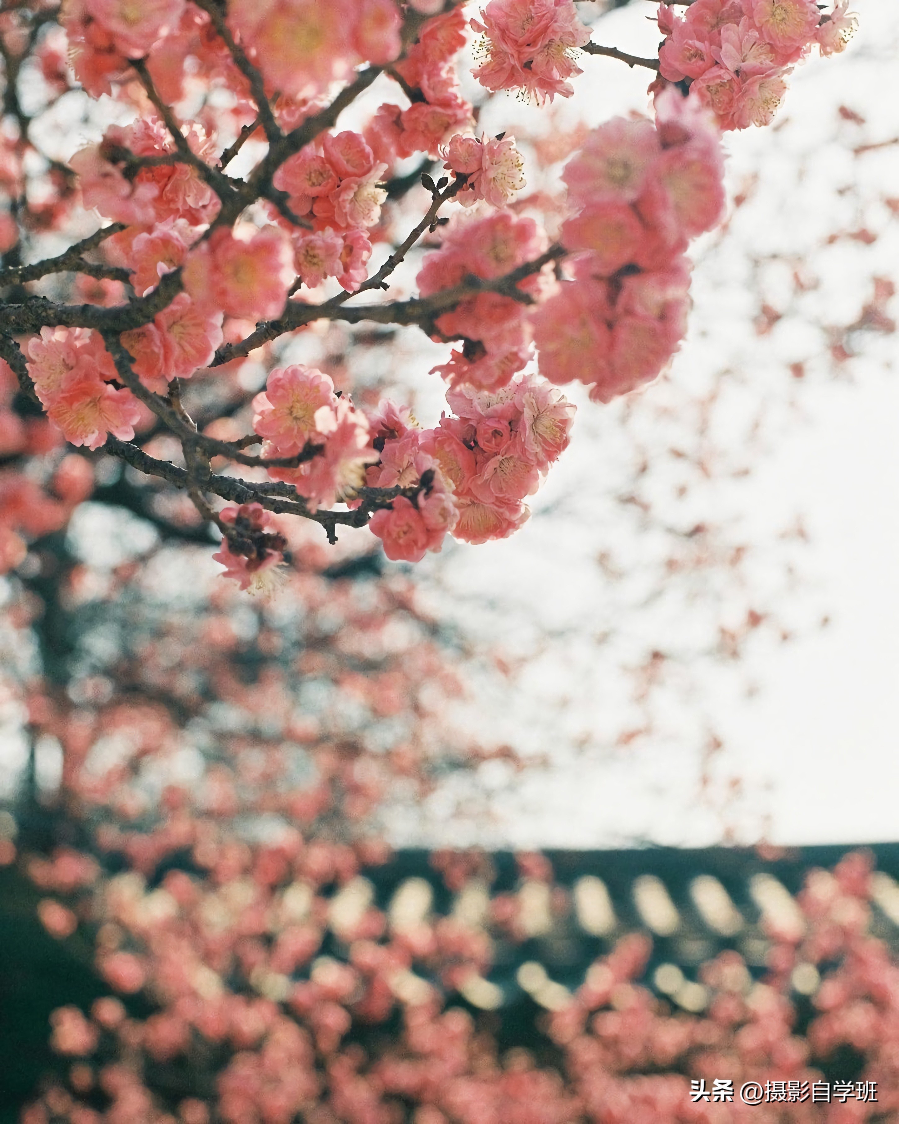 拍风景照片的摄影技巧,风景摄影入门初学者拍照技巧