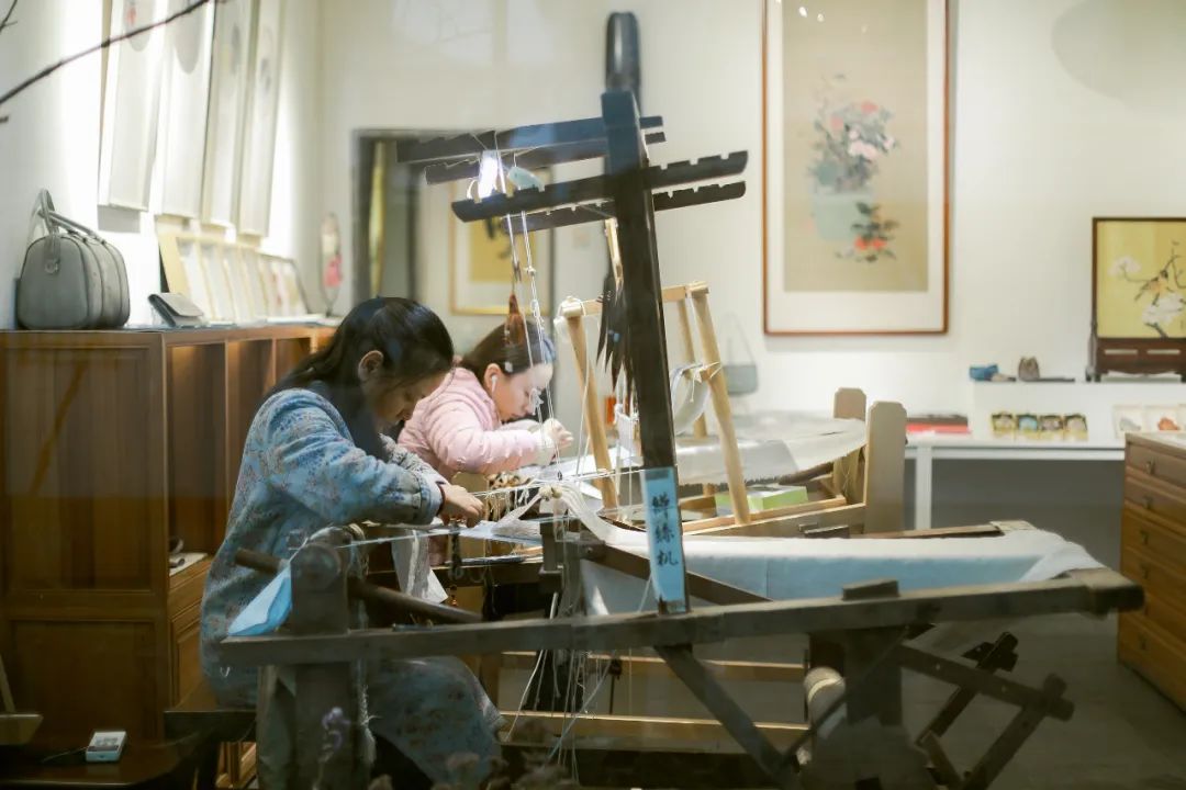 苏州古镇两天一夜旅游攻略,去苏州怎么玩一日游