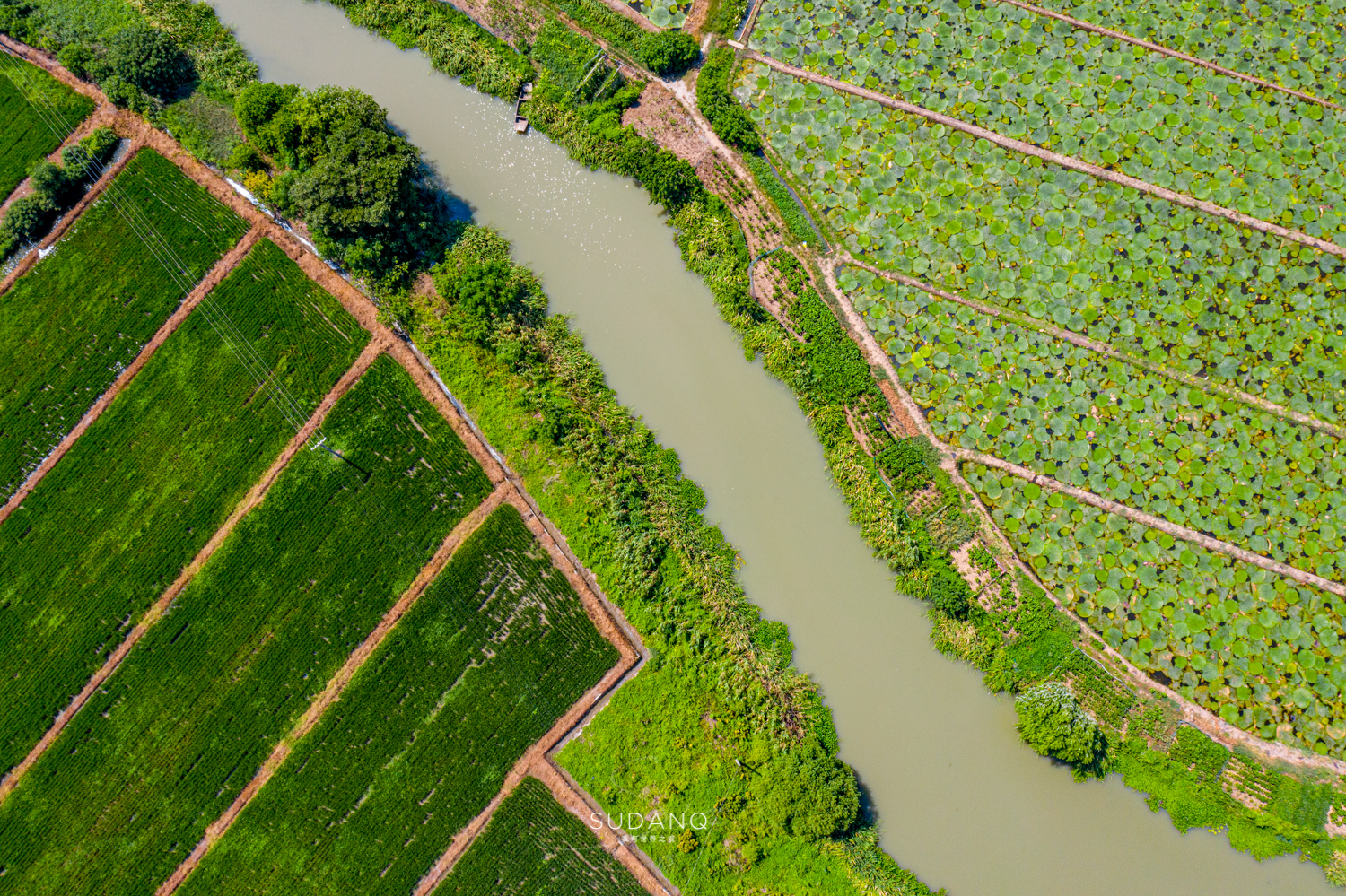 苏州吴江区六大名镇,苏州吴江最有发展区是哪里