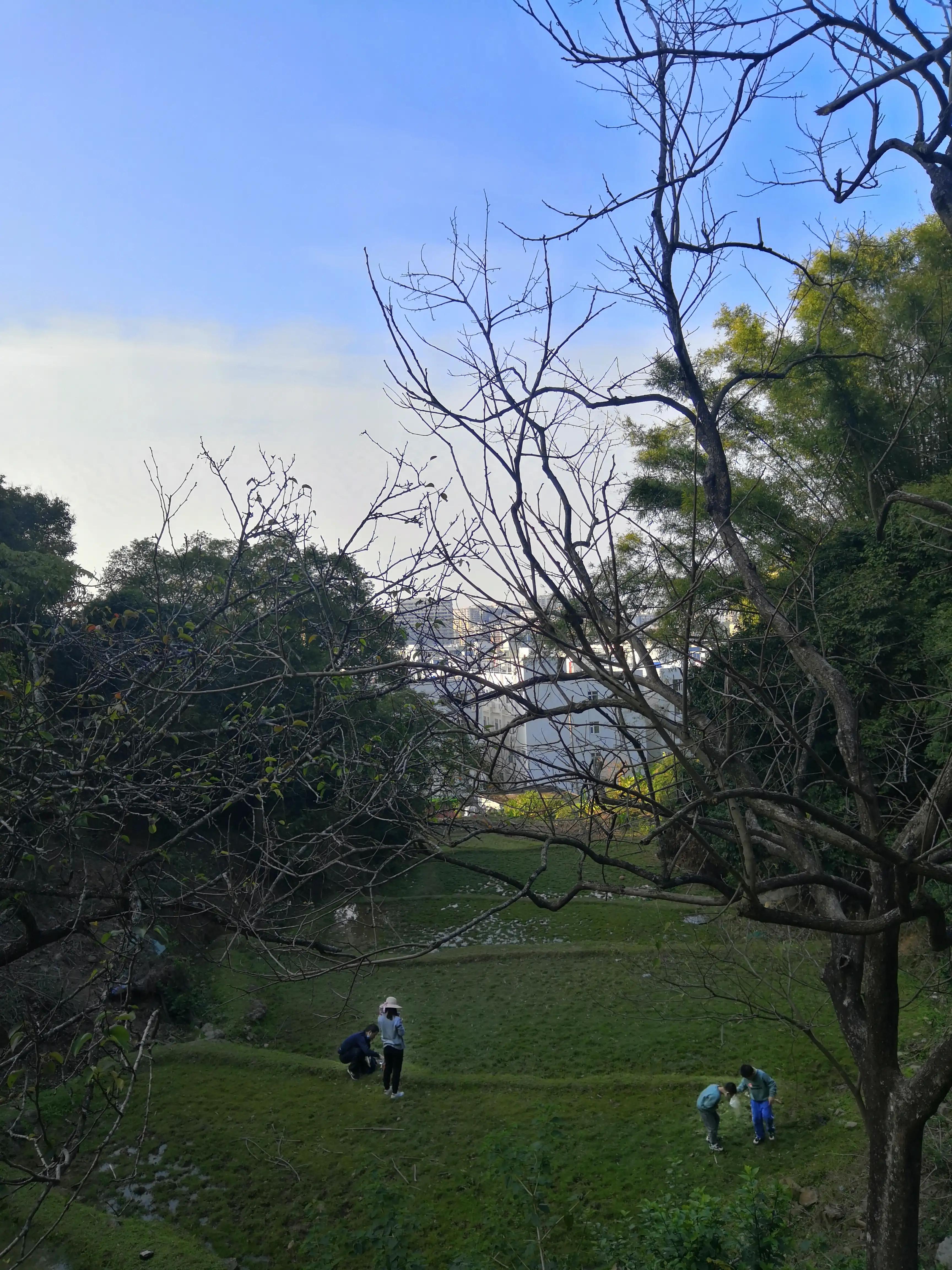 求水山公园,求水山公园游乐场