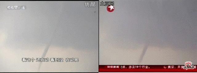 真龙事件报道,2016真龙事件报道