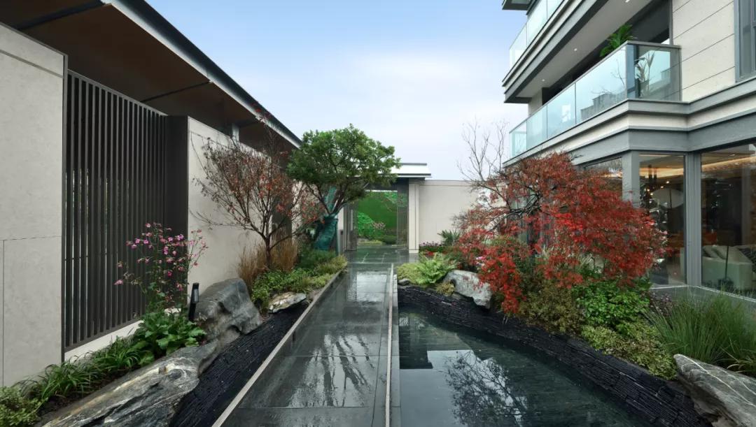 成都金融城附近高档私房菜,成都金融城演艺中心附近美食