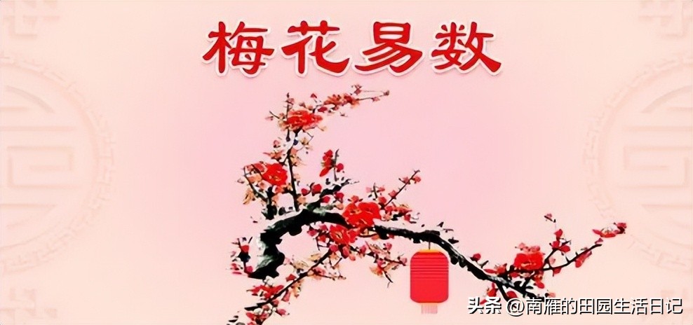 梅花易数特别厉害的故事,梅花易数作者的故事