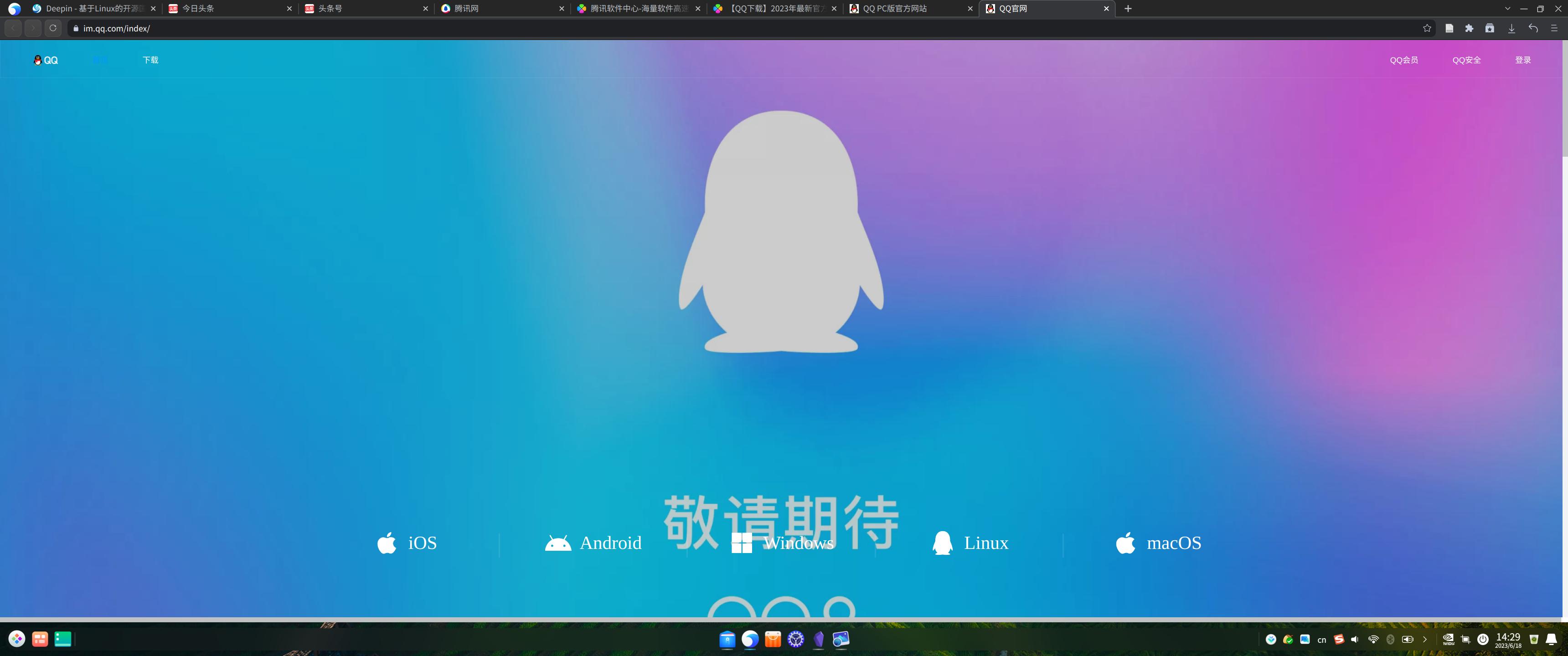 deepin操作系统最简单安装方式,deepin手动安装文件系统选择什么