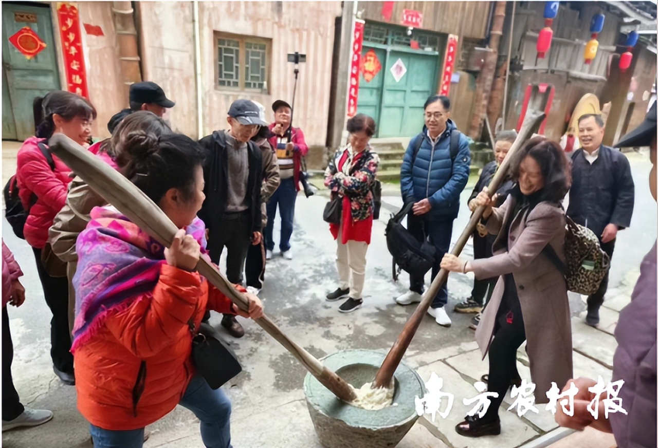 五个村五本产业“致富经”！吴川-三江玩转“林下+庭院”经济”