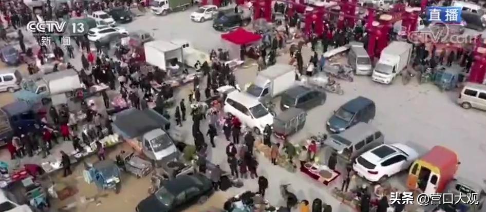 鲅鱼圈红旗大集时间,营口鲅鱼圈红旗大集