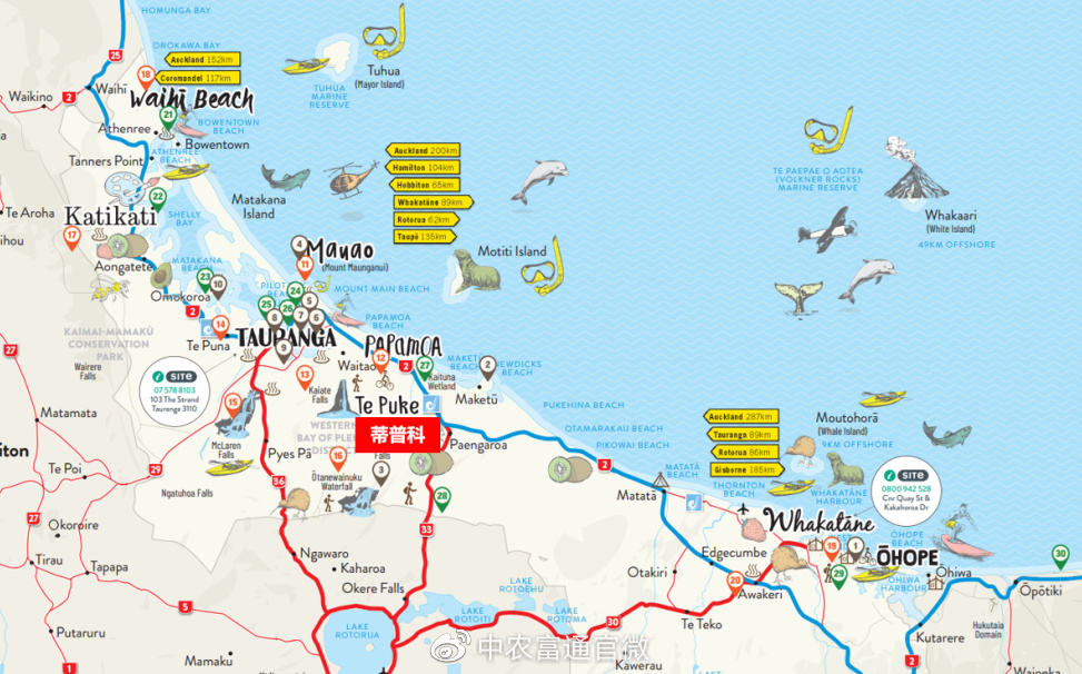 农旅融合，这个奇异果小镇有什么秘诀？