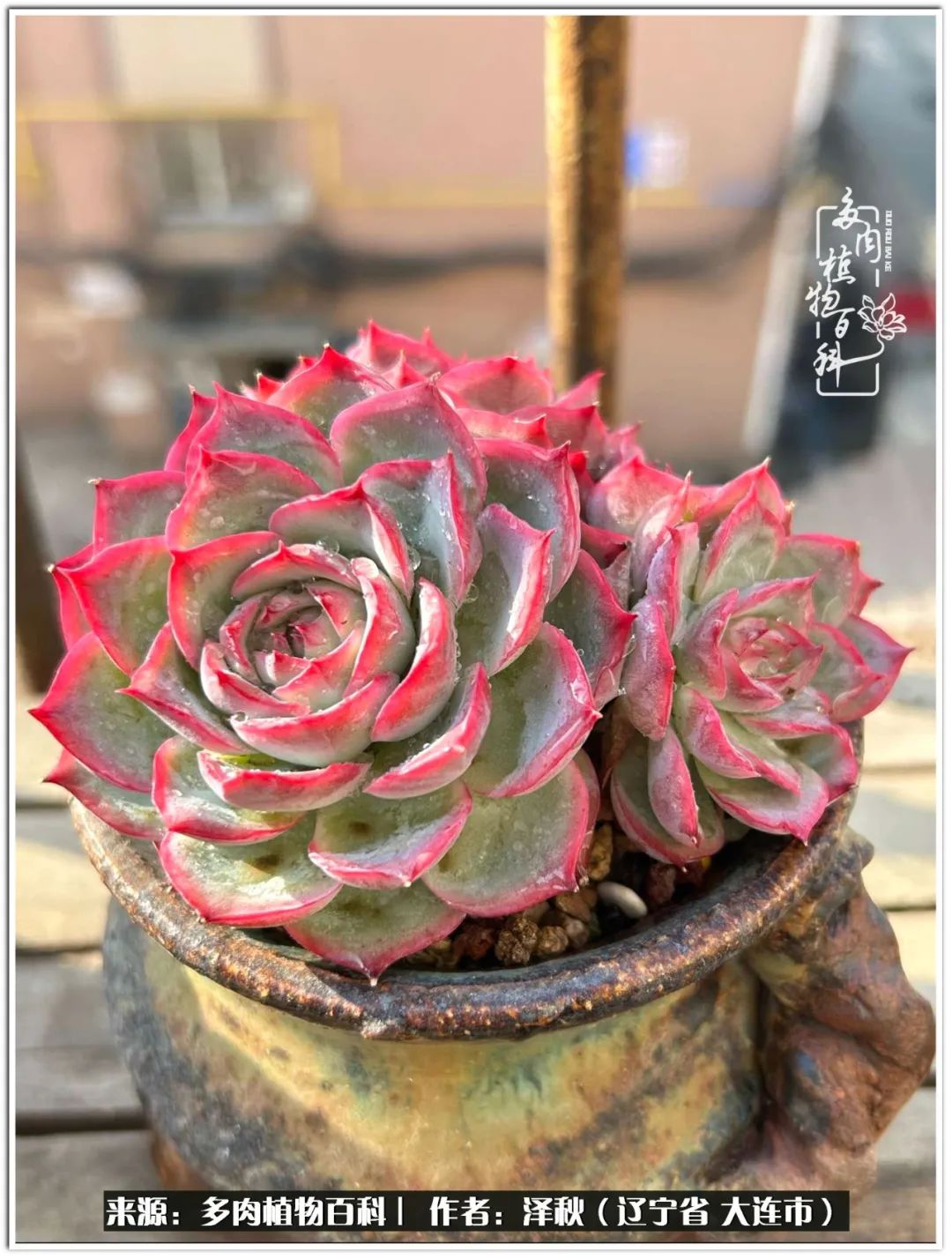 四季轮回之秋天,四季轮回之冬季