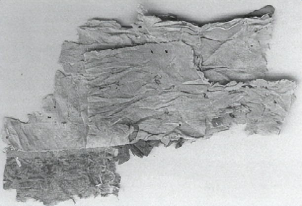 张德芳：丝绸之路上的丝绸——以河西出土实物和汉简为中心