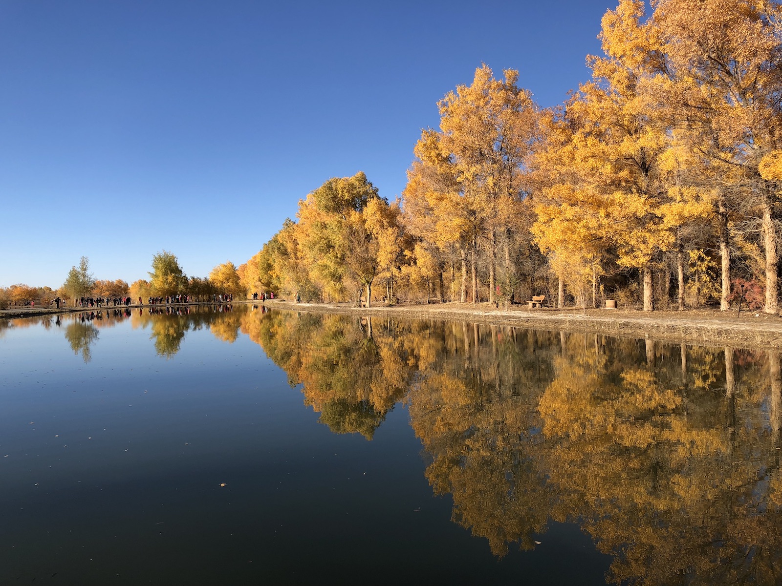 北京自驾额济纳胡杨林十天攻略,从北京到额济纳胡杨林线路
