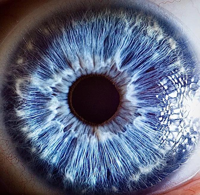 显微镜图像与真实图像,22张罕见的显微镜照片