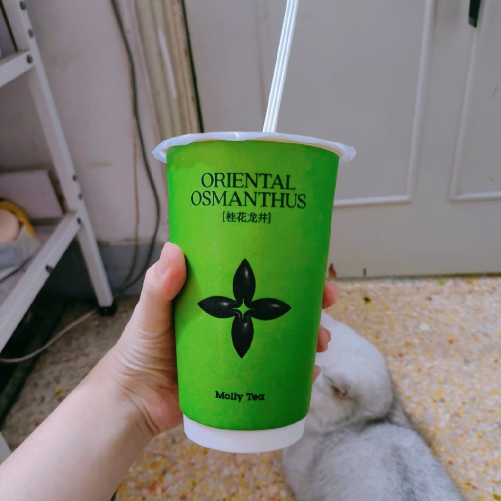 林丹生涯赚了多少钱,林丹当了多久的世界第一