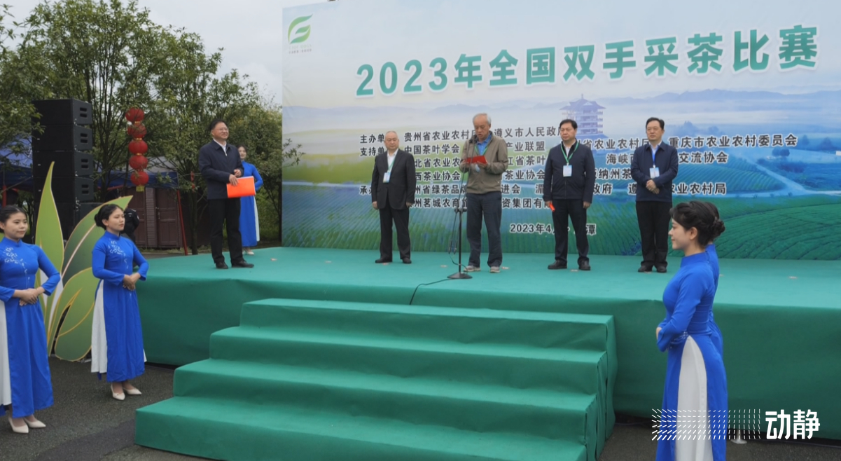 金手指大赛是真的吗,金手指采茶竞赛