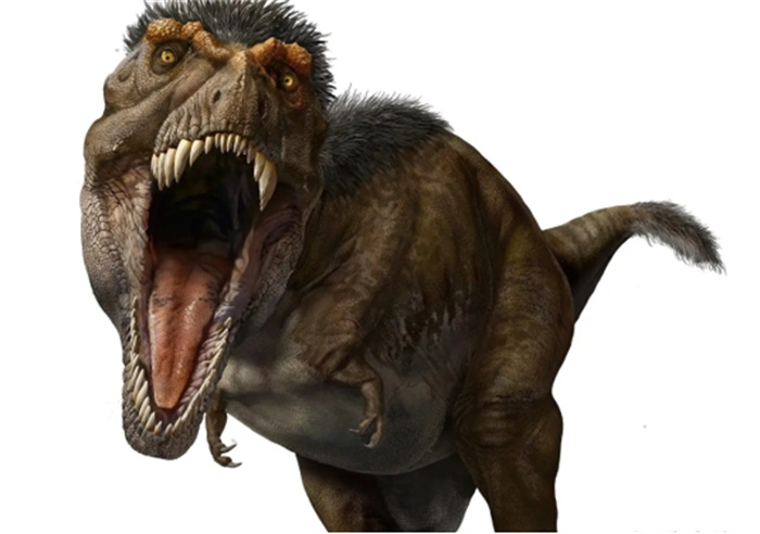 恐龙是恐龙中的霸主,恐龙中排名第一的恐龙是什么恐龙