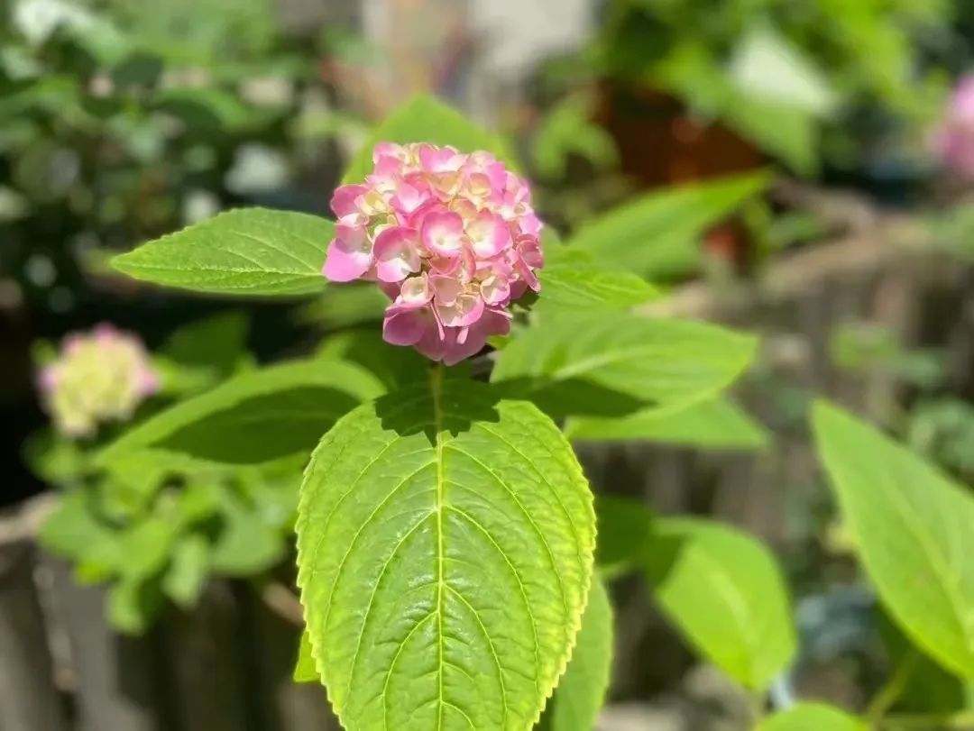 天啊,在网上刷到了前老板的送外卖日记#X351