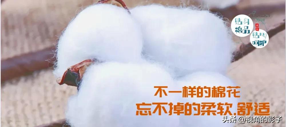 聚集‖波咔琪品质生活专注孩子