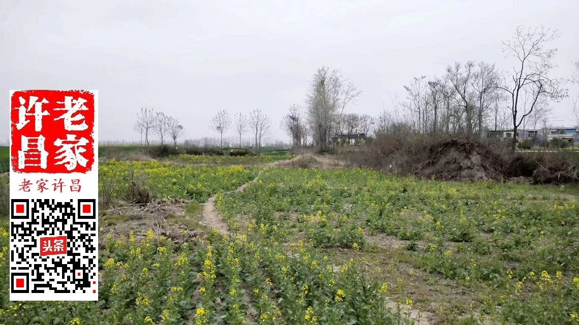 许昌盆李村历史,许昌建安区盆李村