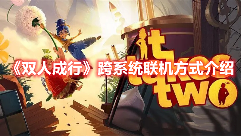 双人成行联机网络要求,跨平台联机模式