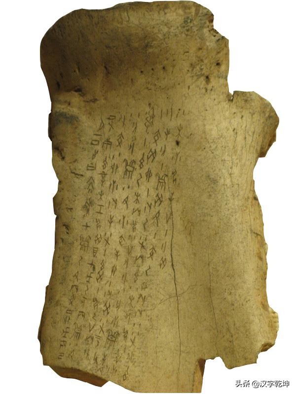 龙骨甲骨文,从龙骨中发现甲骨文