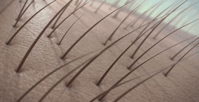 修护受损发质防脱洗发水推荐,防脱头发最好的洗发水