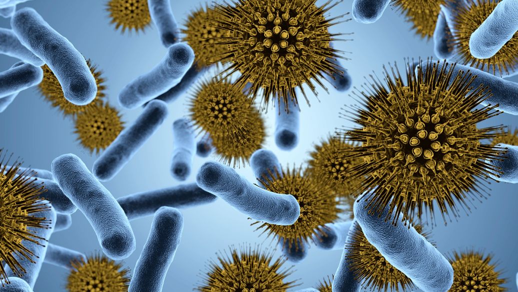 精油的毒性,微生物制剂在对虾应用