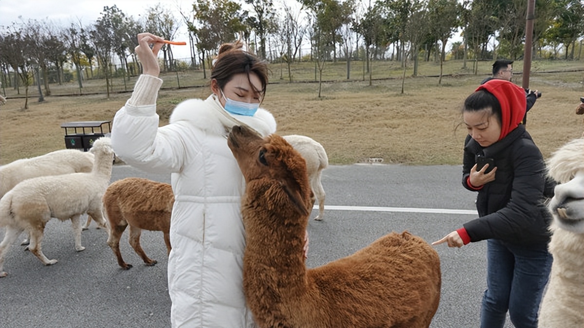在江苏的“绿林仙海”中，寻找侠气与柔情