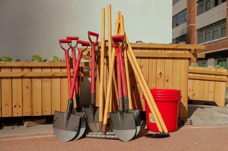 邯郸市丛台区曙光第二小学片区,邯郸市丛台区曙光小学梦想起航