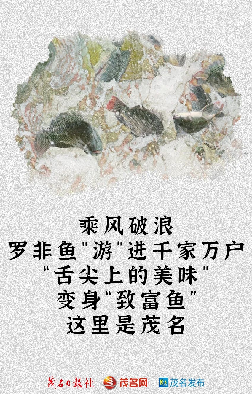 茂名为什么不是省域副中心城市,茂名是一个慢节奏的城市