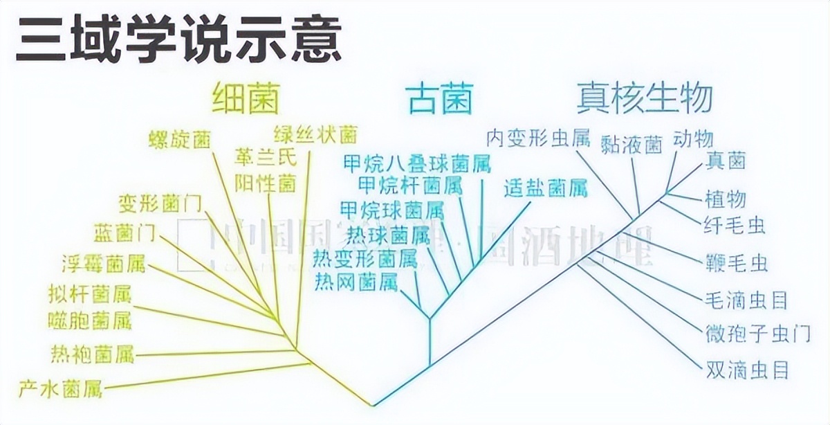 微生物菌群最新研究进展,一号菌群科研新成果