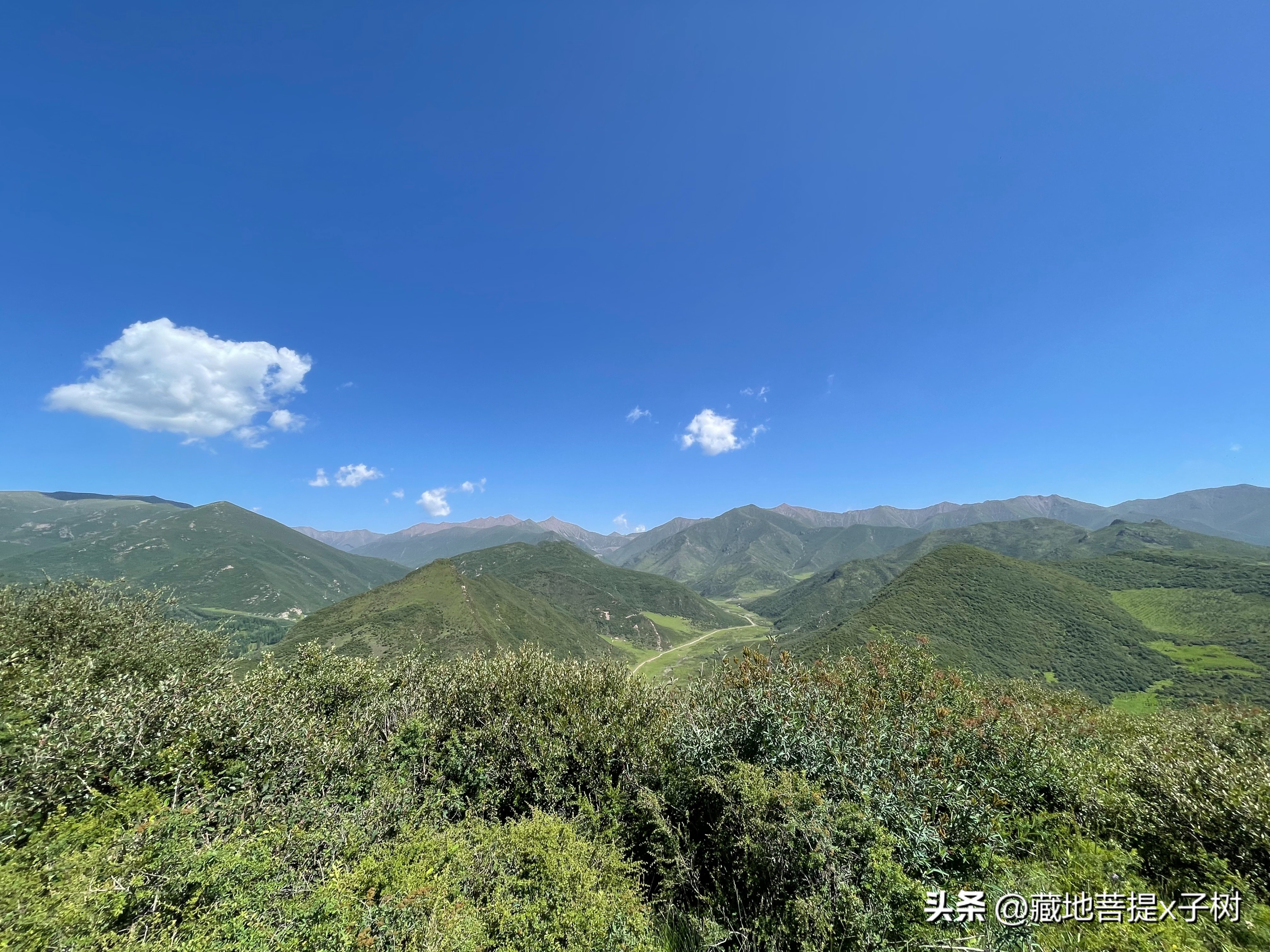 西宁饮水思源探秘三江源活动,青海大通山洪灾观后感