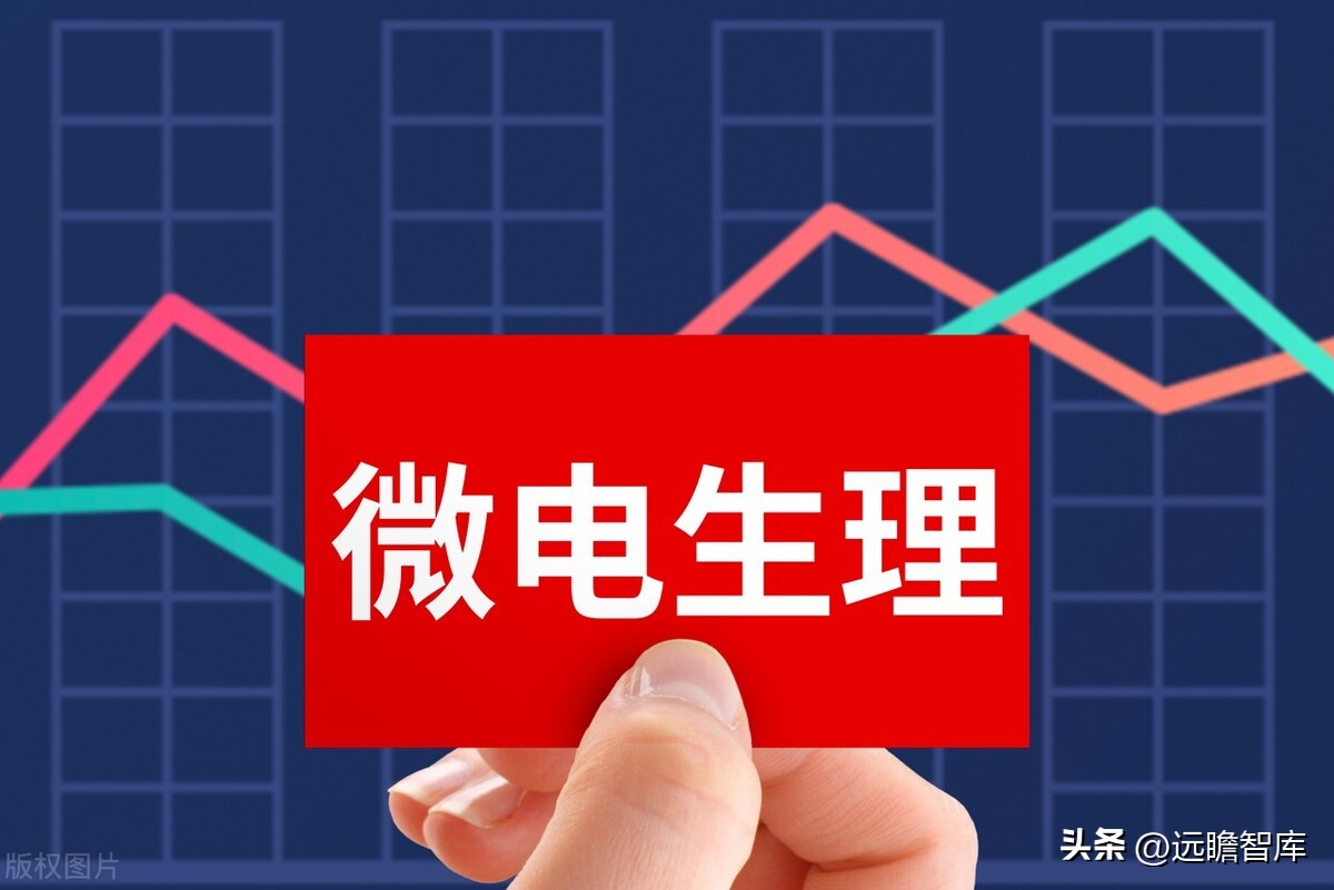 专注电生理介入诊疗，微电生理：市场高速成长，国产替代空间巨大