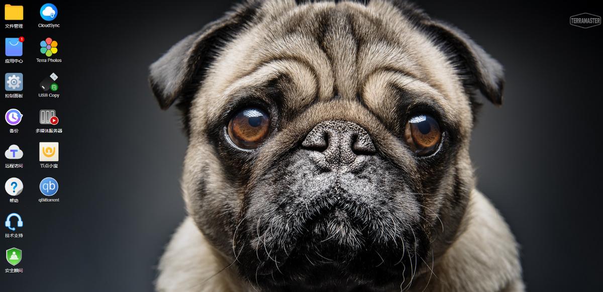 一款满足工作备份需求的存储器，铁威马T9-423