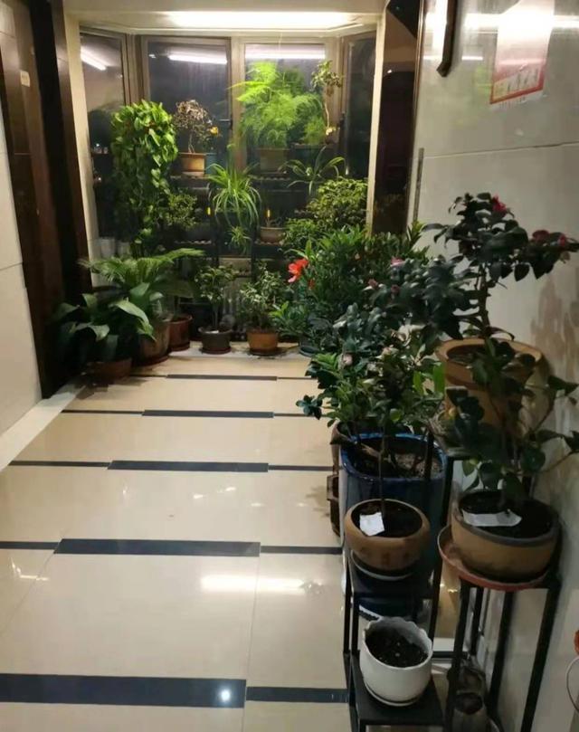 摊上这样的邻居,摊上这种邻居