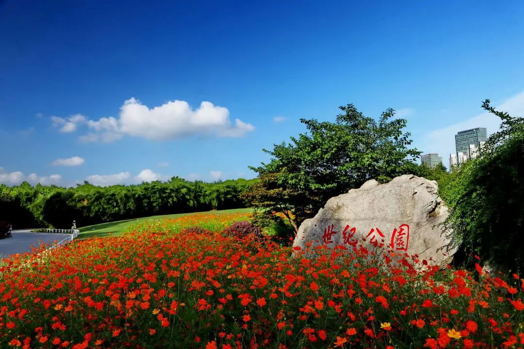 上海最美公园地铁站,上海地铁能直达的免费公园