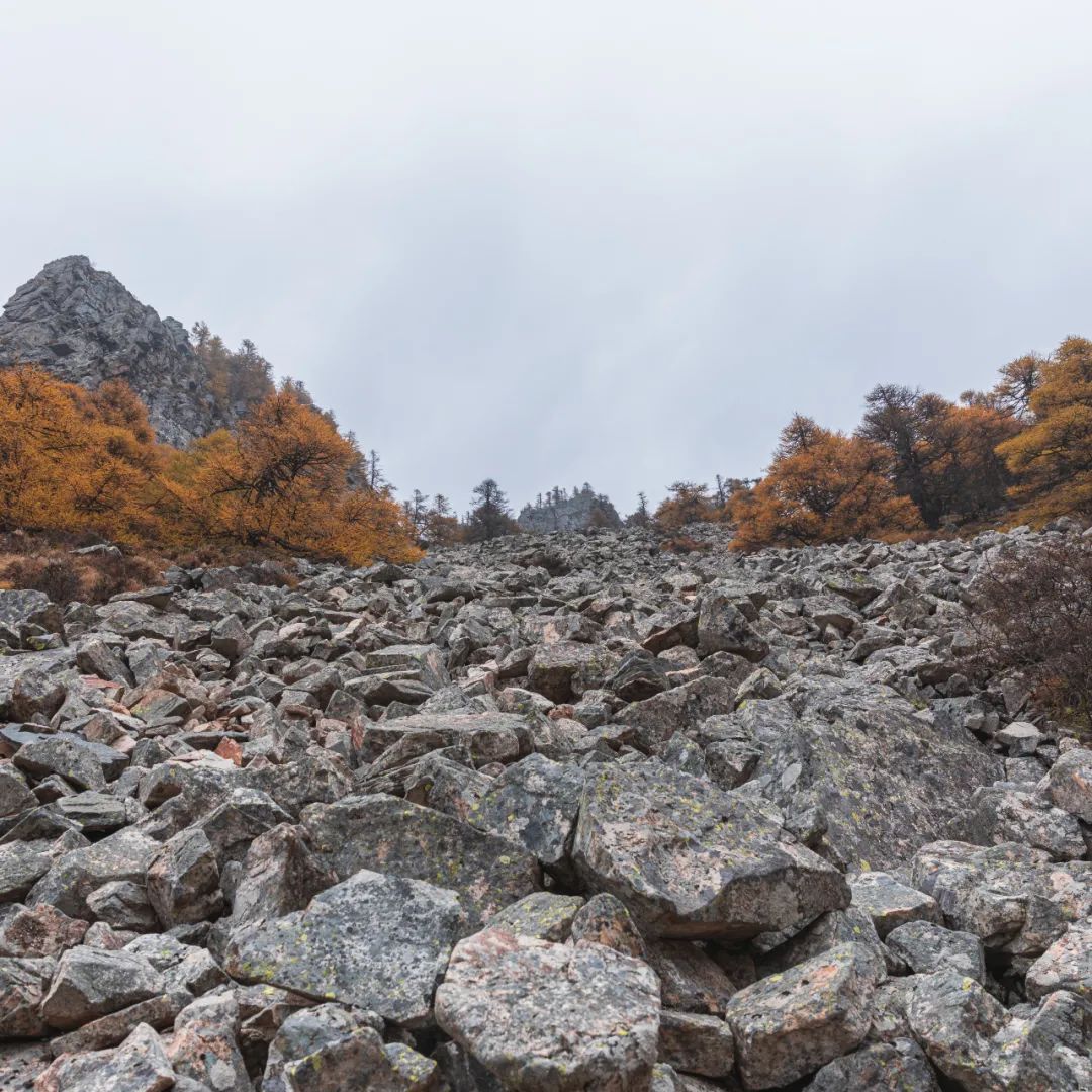 太白山是陕西最高点吗,秦岭最高峰太白山