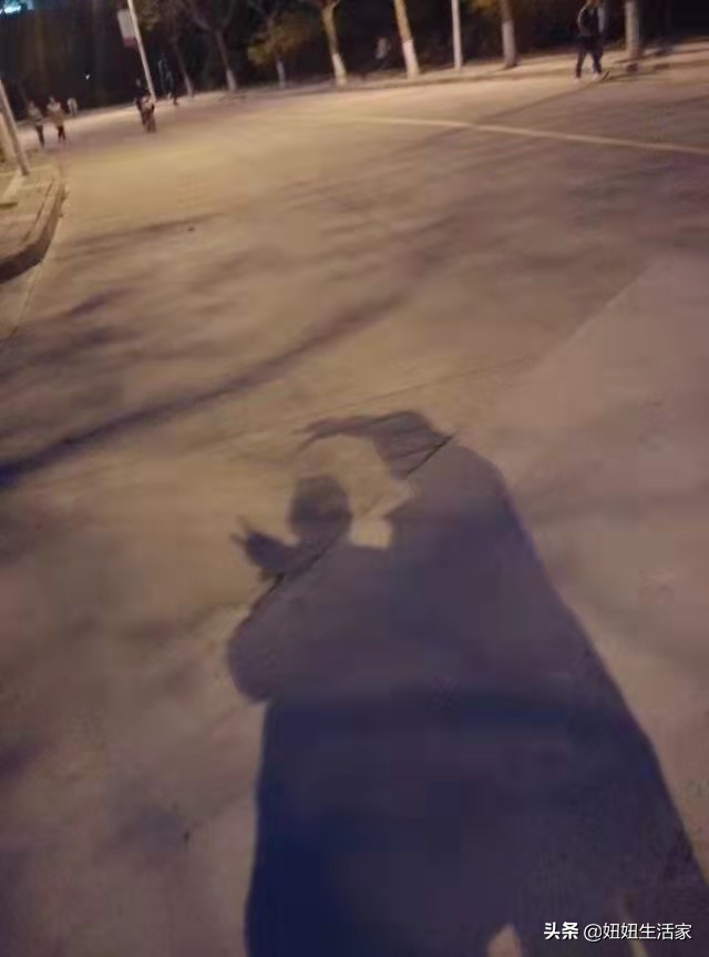 平凡的爱情却总那么细腻,简单平凡而又幸福的爱