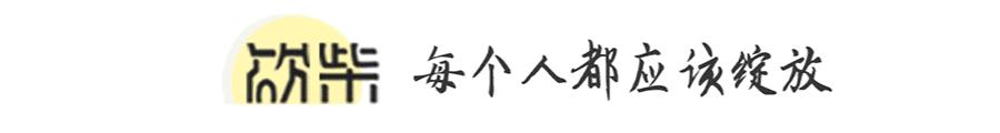 日本作家婚内出轨50人,一位日本作家妻子出轨